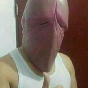 molfito avatar