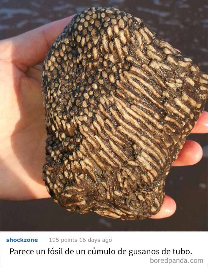 Encontrado En La Costa Este De Inglaterra