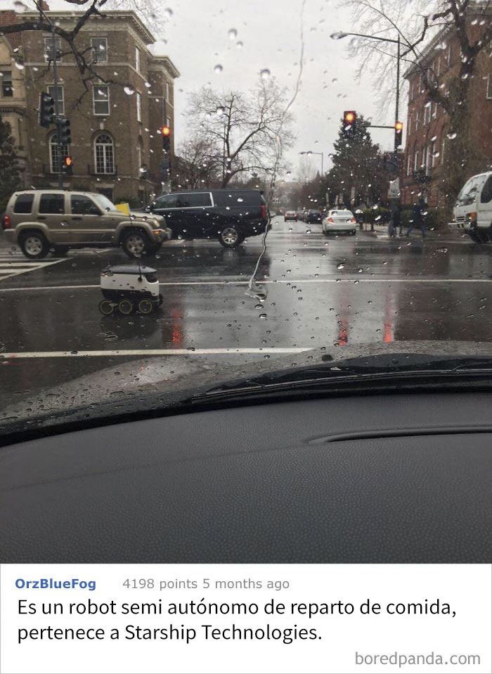 He Visto Esto Cruzando La Calle En Washington, ¿qué Es?