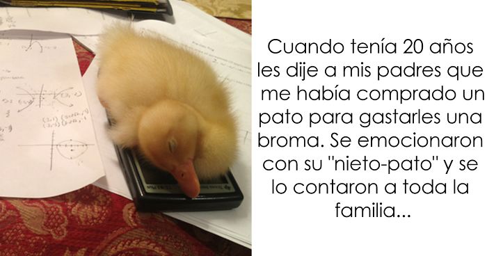 10+ Mentirijillas que se convirtieron en «Esta es mi vida ahora» (Closed)