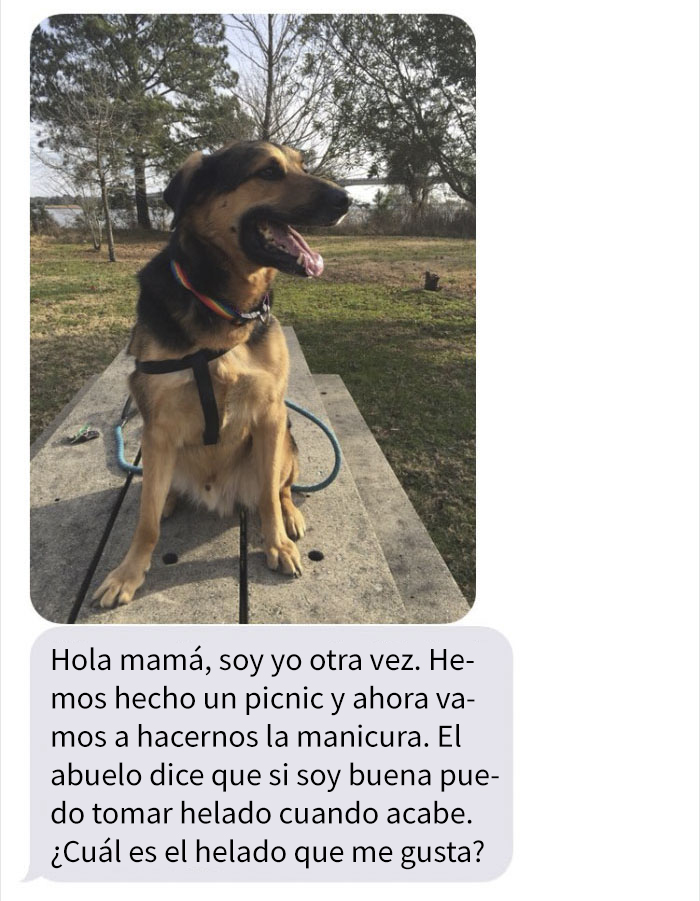 abueloperro-2