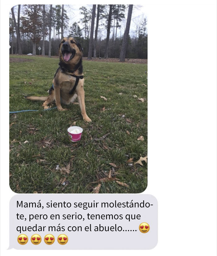 abueloperro-3