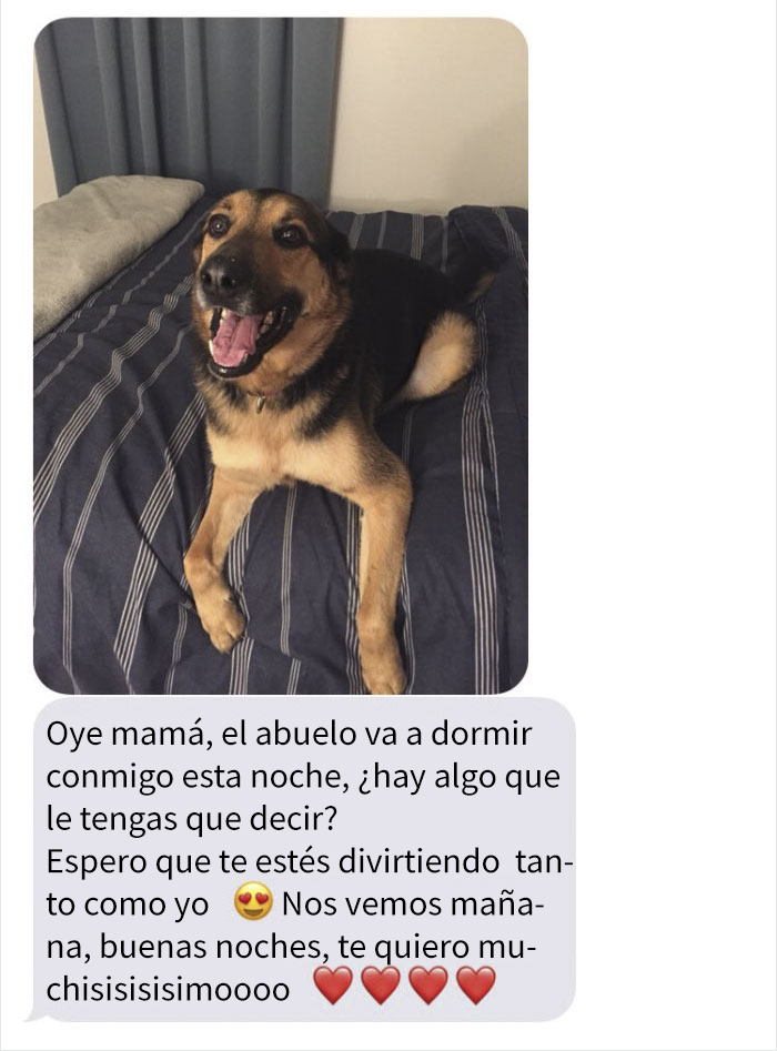 abueloperro-4