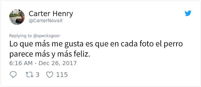 abueloperro-8