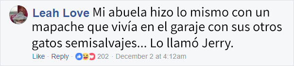 zarigueya-2