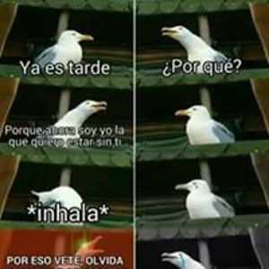 yhojannyrv avatar