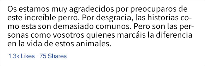 dunkindonutsperro-3