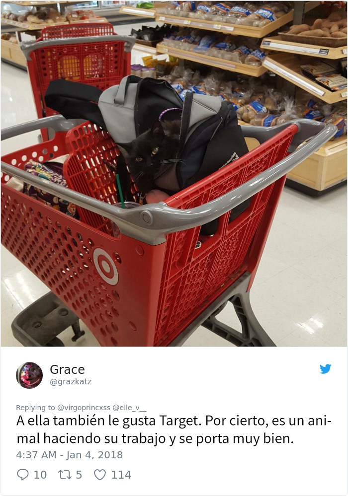 perro-target-2