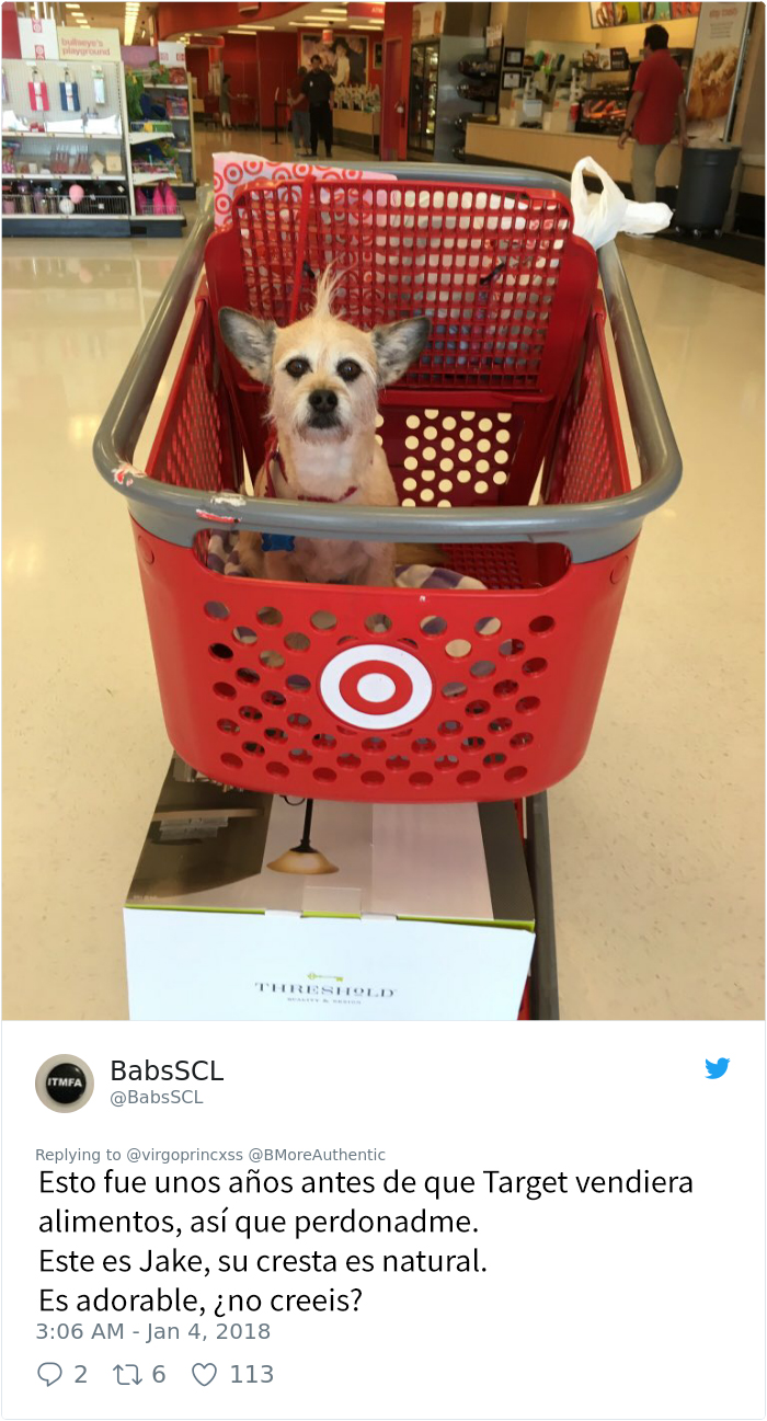 perro-target-3