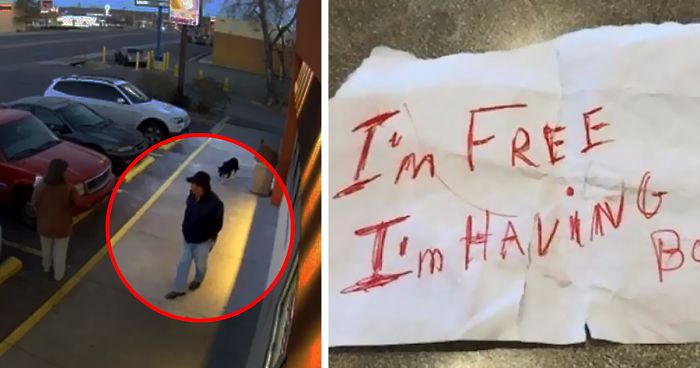 Abandona a su perro en el parking de un Dunkin Donuts con una triste nota en su collar