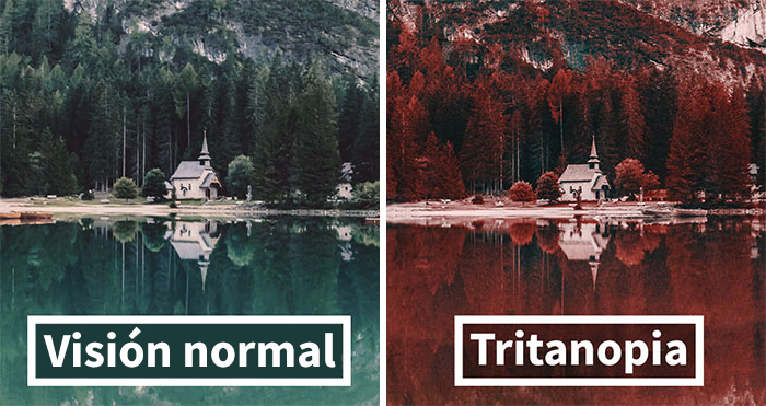 Así es como ve el mundo una persona daltónica con tritanopia