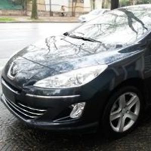 dl1960 avatar