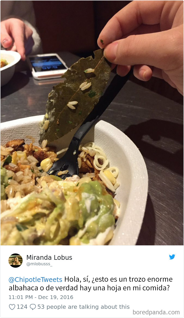 chipotle-15
