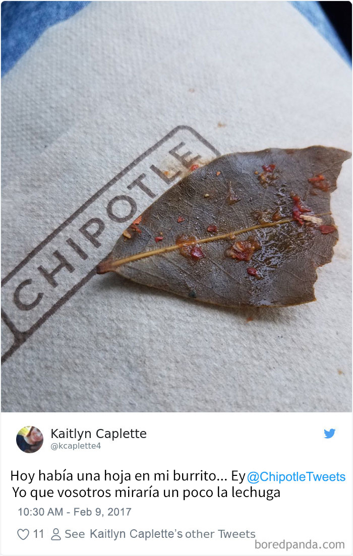 chipotle-9