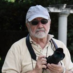 florio90 avatar