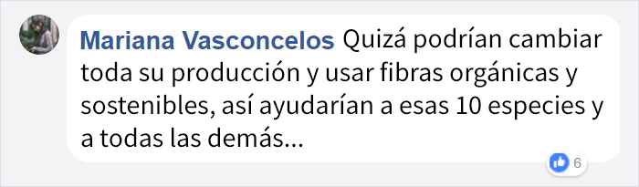 lacoste-3