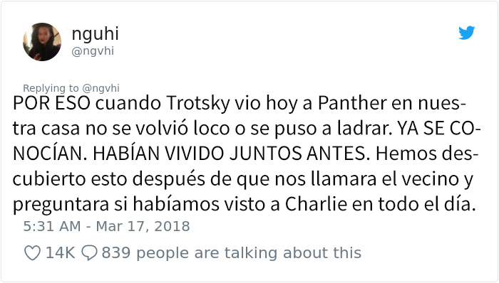 panther-7
