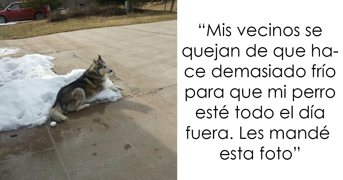 10+ Mensajes de vecinos pasivo – agresivos muy divertidos
