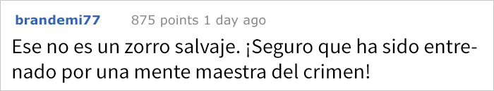 zorrosnapchat-3 zorrosnapchat-3