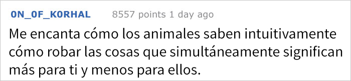 zorrosnapchat-4 zorrosnapchat-4