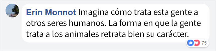 abandonandoperros-1