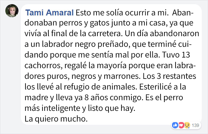 abandonandoperros-2