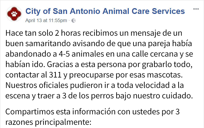 abandonandoperros-5