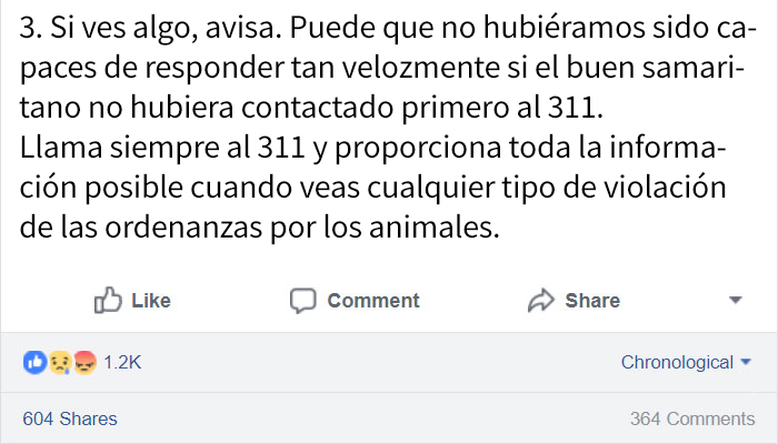 abandonandoperros-8