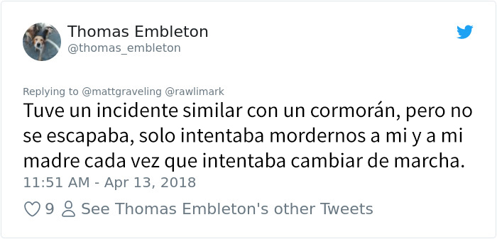 milanoreal-11