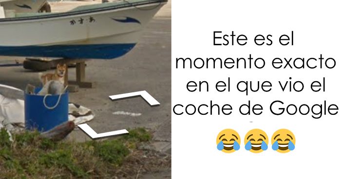 Este perro persiguió al coche de Google Street View por Japón, «arruinando» todas las fotos de forma divertida
