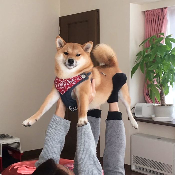Karen, Estoy Cansado De Esta “Yoga En Pareja”