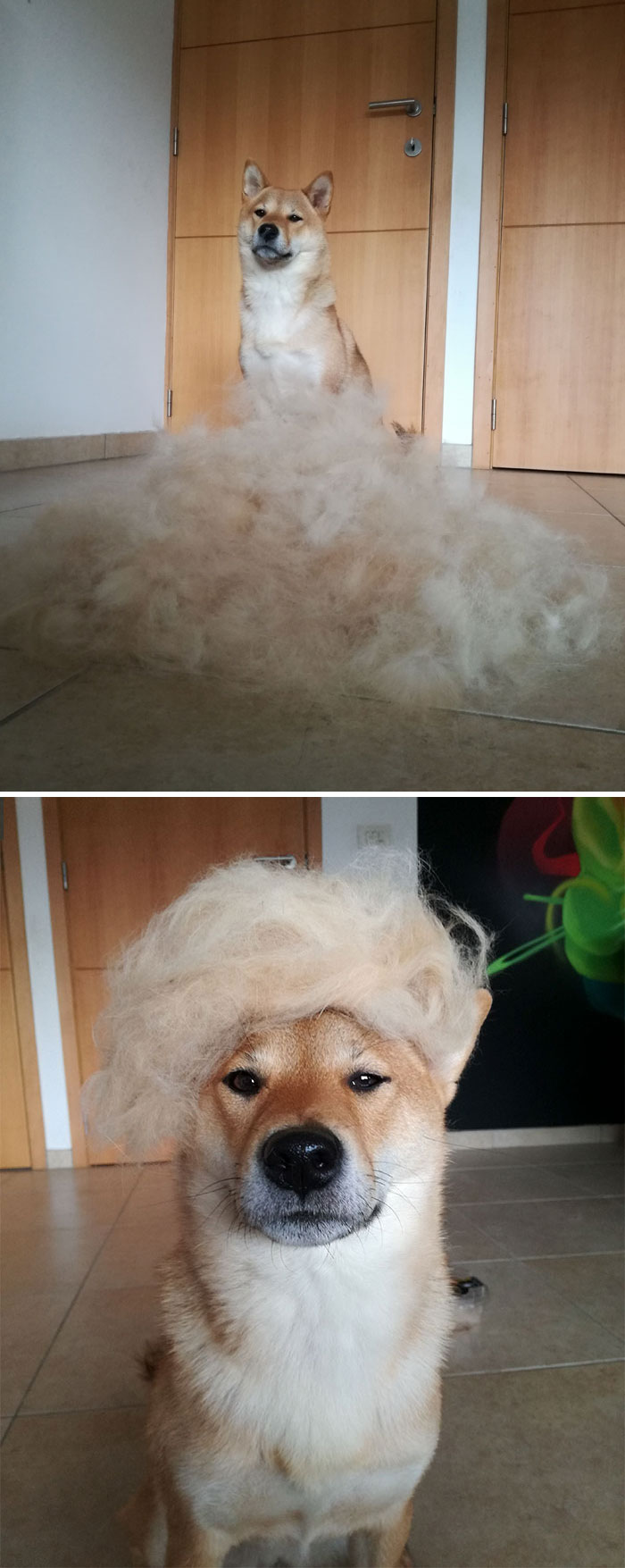 Ella Estaba Tan Contenta Hasta Decidí Divertirme Un Poco