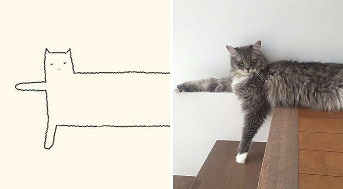20 Veces Cuando ‘Los Dibujos Estúpidos De Gatos’ Hicieron Reír A Todos Por Su Precisión