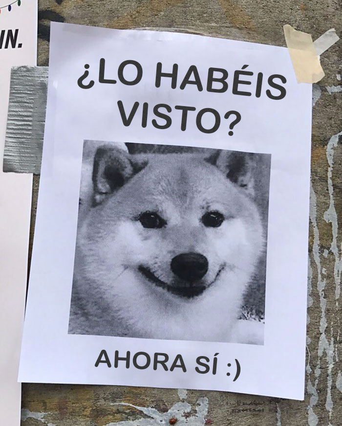 Alguien Puso Este Anuncio En El Tablón Del Campus Y Me Ha Alegrado El Día