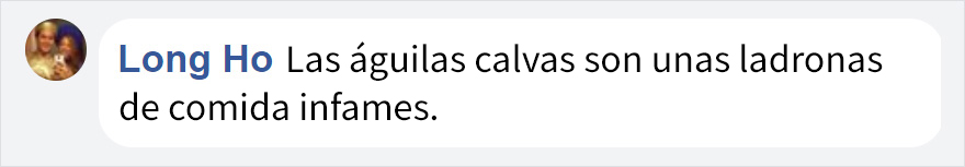 aguiladrona-1