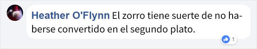 aguiladrona-3