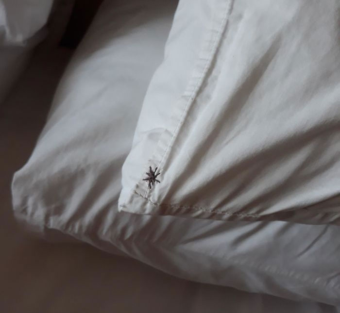 Las Almohadas Del Hotel Tienen Una "Palmerita" Bordada