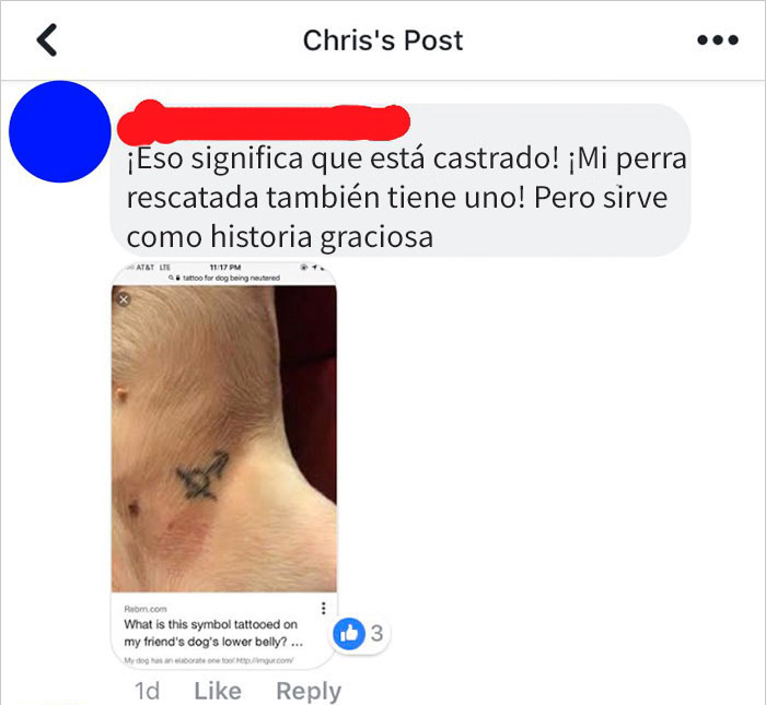 perrotatu-2