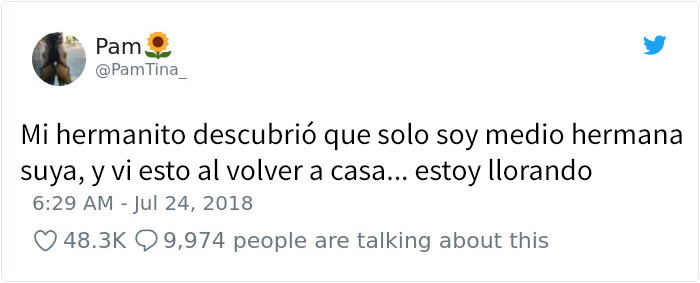 mediohermana-1