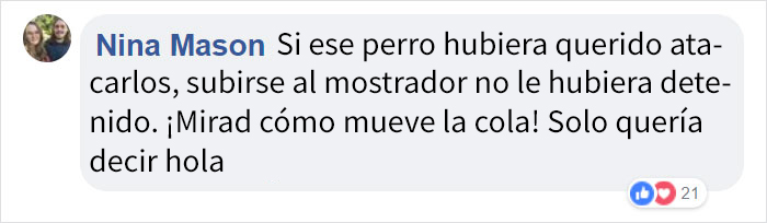 ptibullterrorifico-1