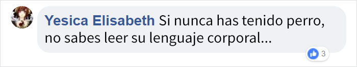ptibullterrorifico-10