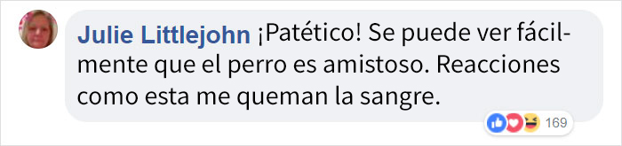 ptibullterrorifico-3