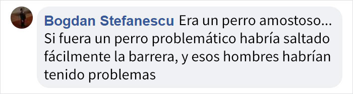 ptibullterrorifico-4