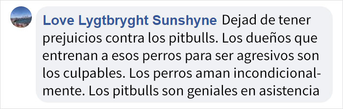 ptibullterrorifico-5