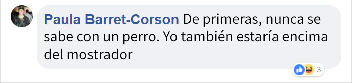 ptibullterrorifico-6