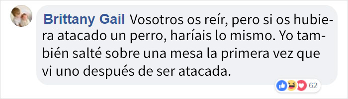 ptibullterrorifico-8
