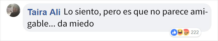 ptibullterrorifico-9