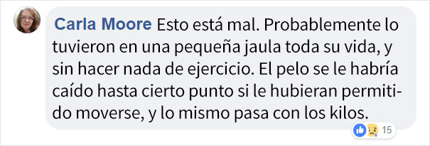 bobmarley-8