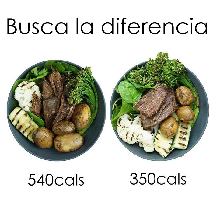 La Clave Es Buscar Alimentos Energéticos De Baja Densidad