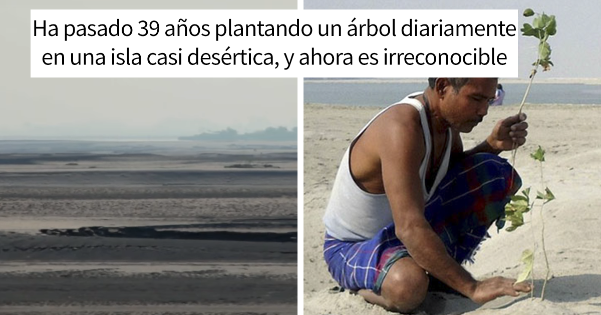 En 1979, un chico de 16 años comenzó a plantar un árbol diariamente en una isla perdida, y ahora está irreconocible